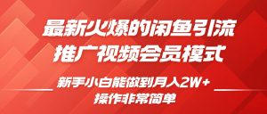 闲鱼引流营销推广视频会员，0 成本费就可以操作，新手入门月入了 W