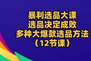 暴利选品大课：选品决定成败，教你多种大爆款选品方法（12节课）
