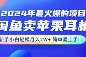 闲鱼卖苹果耳机，新手小白轻松月入2W+简单易上手