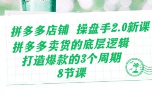 拼多多店铺 操盘手2.0新课，拼多多卖货的底层逻辑，打造爆款的3个周-8节