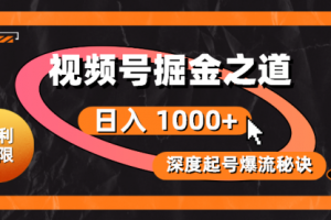 视频号掘金之道，深度解析起号爆流秘诀，轻松实现日入 1000+