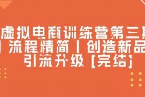 虚拟电商训练营三丨流程精简丨创造新品丨引流升级