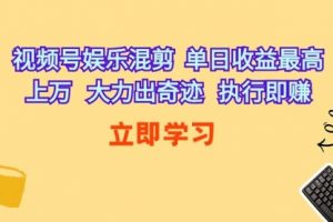 视频号娱乐混剪 单日收益最高上万 大力出奇迹