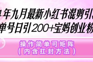 小红书混剪引流，单号日引200+宝妈创业粉，操作简单可矩阵