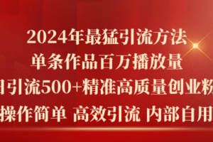 2024年最猛暴力引流方法，单条作品百万播放
