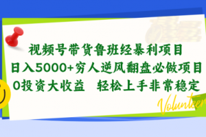 视频号带货鲁班经暴利项目，日入5000+