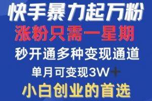 快手暴力起万粉，涨粉只需一星期，多种变现模式，直接秒开万合