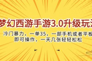 梦幻西游手游3.0升级玩法，冷门暴力，一单35