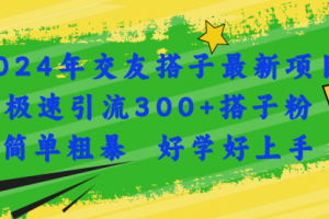 2024年交友搭子最新项目，极速引流300+搭子粉