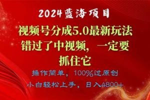 蓝海项目，视频号分成计划5.0最新玩法