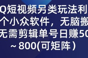 2024QQ短视频暴力独家玩法 利用一个小众软件，无脑搬运