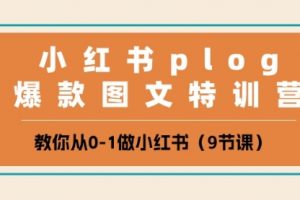 小红书 plog爆款图文特训营，教你从0-1做小红书（9节课）