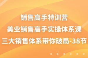 销售-高手特训营，美业-销售高手实操体系课，三大销售体系带你破局
