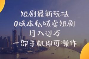 短剧最新玩法 0成本私域卖短剧 月入过万 一部手机即可操作
