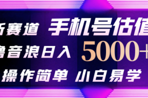 抖音不出境直播最新撸音浪，日入5000+