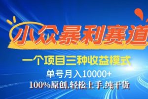 -视频号爆火赛道，三种变现方式