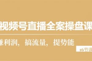 视频号直播全案操盘课，赚利润，搞流量，提势能（16节课）