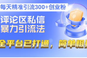评论区私信暴力引流法，每天精准引流300+创业粉
