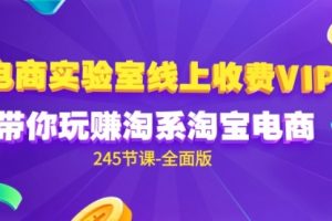 电商-实验室 线上收费VIP，带你玩赚淘系淘宝电商