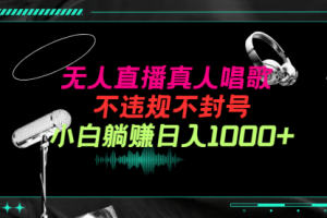抖音24小时无人直播音乐，不违规，不封号纯撸音浪