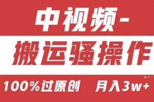 双重去重100%过原创，无脑搬运一键多渠道发布