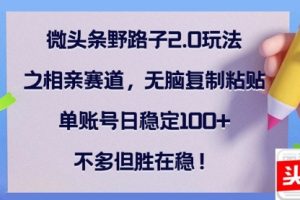 微头条野路子2.0玩法之相亲赛道，无脑复制粘贴，单账号日稳定100+