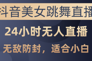 抖音美女跳舞直播，日入3000+，24小时无人直播