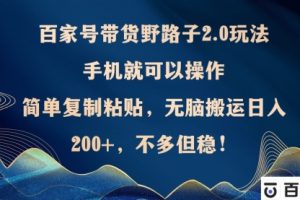 百家号带货野路子2.0玩法，手机就可以操作