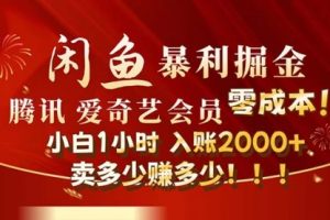 闲鱼全新暴力掘金玩法，官方正品影视会员无成本渠道