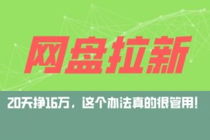 网盘拉新+私域运营玩法，零基础入门，小白可操作，当天见效，日入5000+
