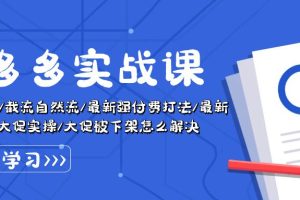 拼多多·实战课：万人团玩法/截流自然流/最新强付费打法/