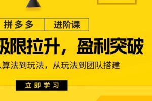 拼多多·进阶课：极限拉升/盈利突破：从算法到玩法 从玩法到团队搭建