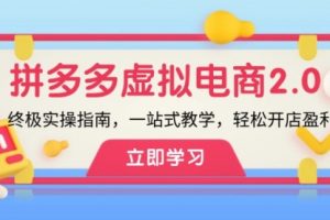 拼多多虚拟项目-2.0：终极实操指南，一站式教学，轻松开店盈利