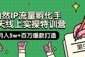 自然IP流量孵化手 14天线上实操特训营月入5w+百万爆款打造