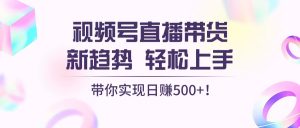 2024视频号直播带货：简单操作，日赚500+的赚钱秘籍