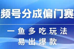 视频号偏门玩法：轻松过原创，双收益的赚钱新机遇