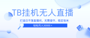 TB 无人直播攻略：打造日不落直播间秘籍