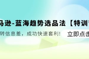 亚马逊-蓝海趋势选品法：玩转信息差，成功快速套利!