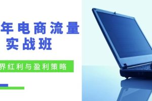 24年电商流量实战班：无界红利与盈利策略，终极提升