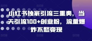 小红书引流神技三重奏，单日引流百 + 创业粉，流量井喷变现无忧