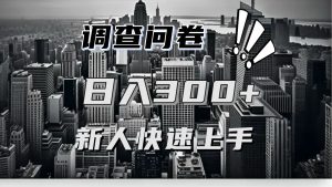 调查问卷项目深度剖析，一份问卷多遍薅，日入二三百轻松搞定！