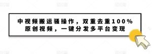中视频搬运独家技巧：双重去重多平台变现，小白无脑操作