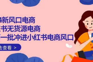 2024新风口电商，小红书无货源电商，带一批冲进小红书电商风口（18节）