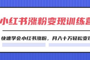 2024小红书涨粉变现训练营，快速学会小红书涨粉，月入十万轻松变现