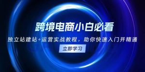 跨境电商新手进阶宝典：独立站建站与运营实战全攻略