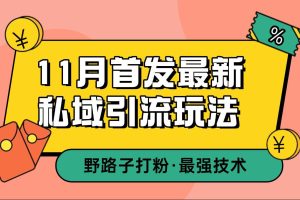 最新私域引流玩法,日引 300 + 精准粉，轻松日入 4 位数