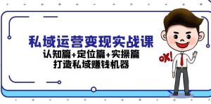 私域运营从入门到精通：31天实战手册