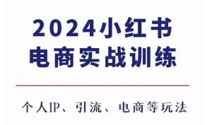 2024 小红书电商 3.0 实战精修课，IP 打造引流变现全囊括