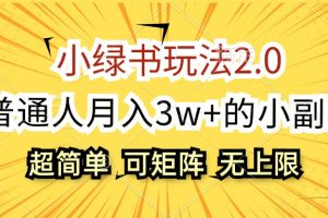 小绿书玩法2.0，超简单，普通人月入3w+的小副业