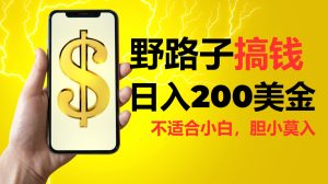 挂机野路子搞钱，日入 200 美金，但小白慎入，套路较深！